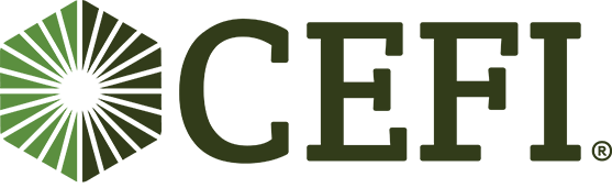 CEFI_557x171