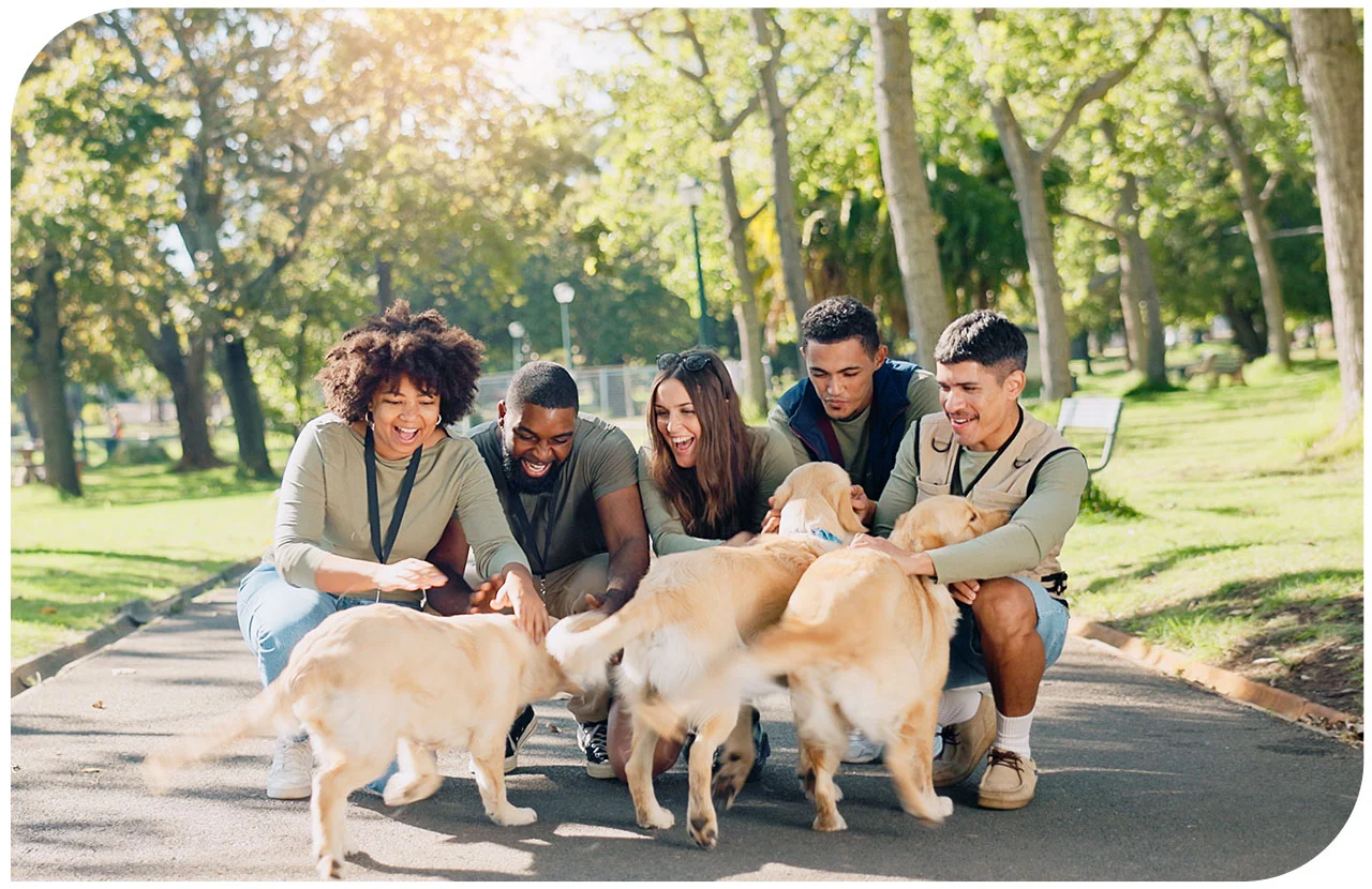 Comuunity Service: Paws-itive Give Back ?? Comuunity Service: Paws-itive Give Back