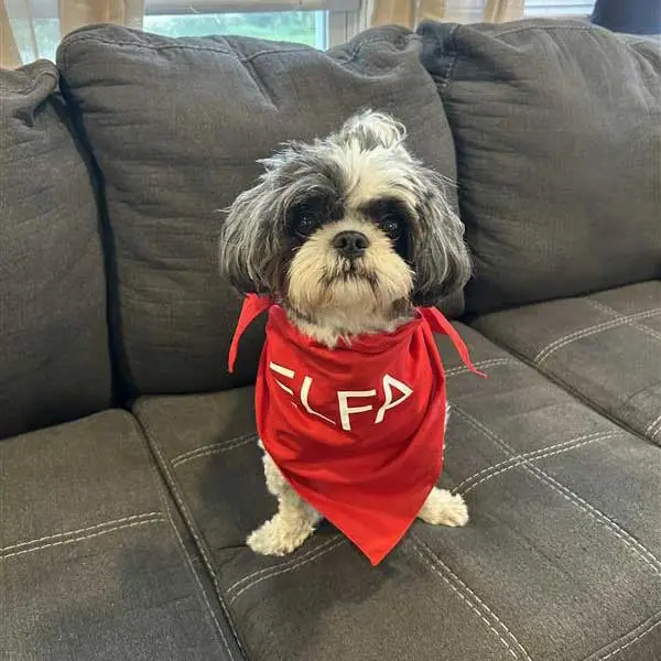 Josie. (Oakmont Capital Services)