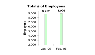 Total Number of Employees