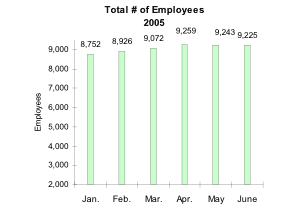 Total Number of Employees