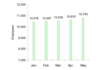 Total Number of Employees