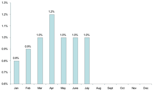 Net Investment at Risk