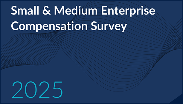 SME Comp Survey 2025