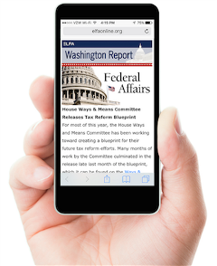 Federal Newsletter